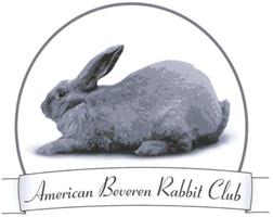 Beveren Rabbits